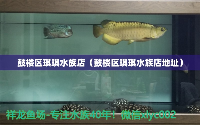 鼓樓區(qū)琪琪水族店（鼓樓區(qū)琪琪水族店地址） 全國水族館企業(yè)名錄