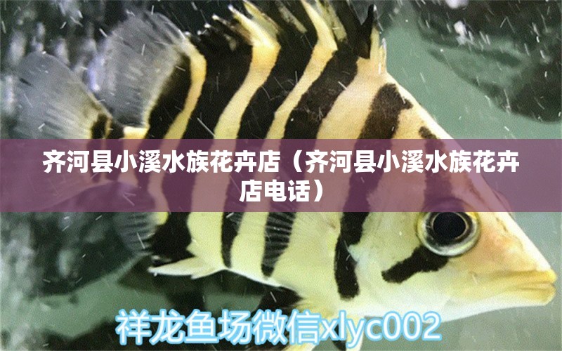 齊河縣小溪水族花卉店（齊河縣小溪水族花卉店電話）