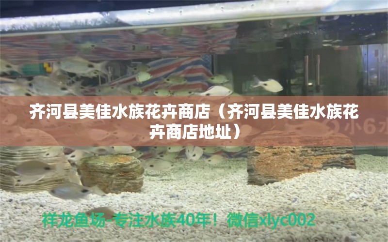 齊河縣美佳水族花卉商店（齊河縣美佳水族花卉商店地址） 全國水族館企業(yè)名錄