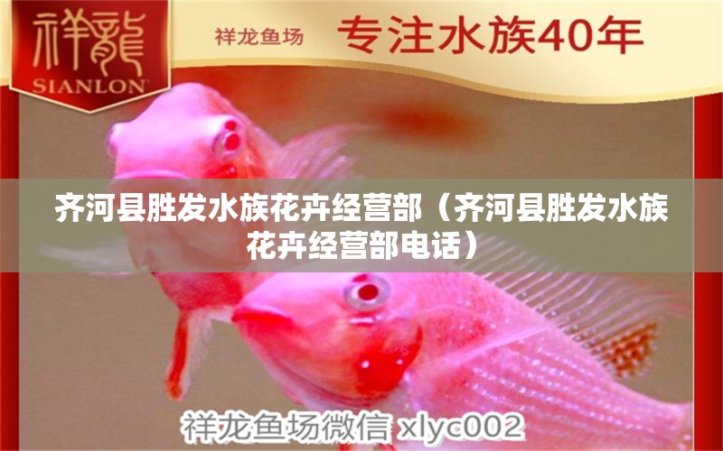 齊河縣勝發(fā)水族花卉經(jīng)營部（齊河縣勝發(fā)水族花卉經(jīng)營部電話）