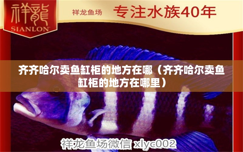 齊齊哈爾賣(mài)魚(yú)缸柜的地方在哪（齊齊哈爾賣(mài)魚(yú)缸柜的地方在哪里）