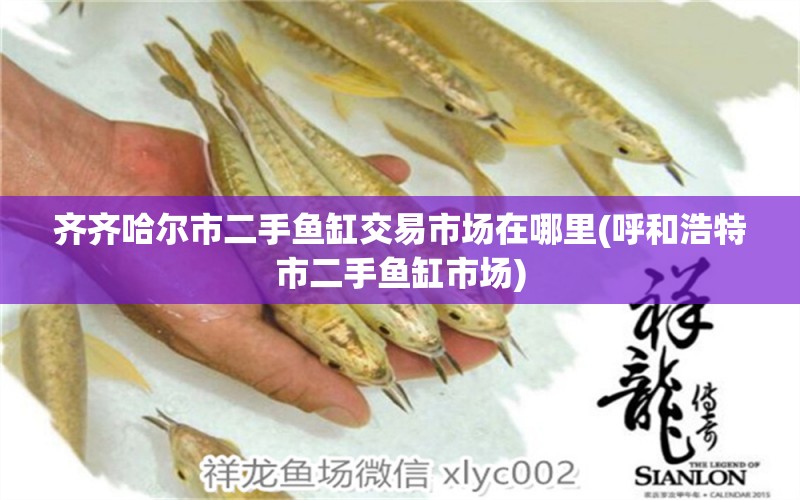 齊齊哈爾市二手魚缸交易市場(chǎng)在哪里(呼和浩特市二手魚缸市場(chǎng))