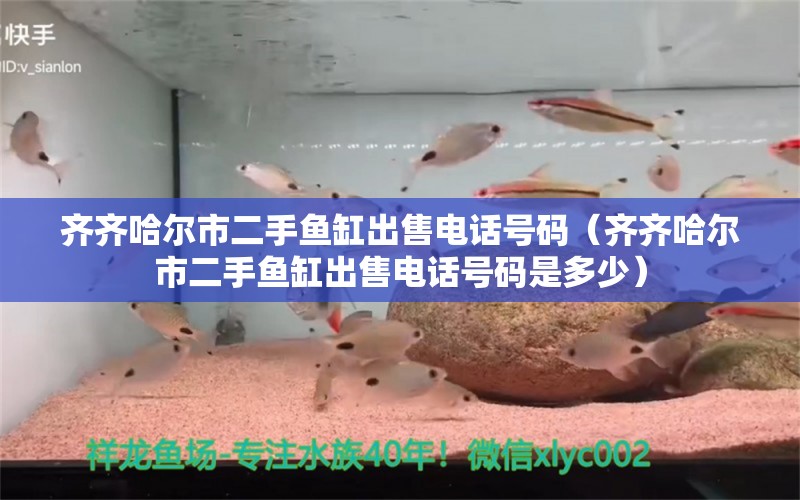 齊齊哈爾市二手魚缸出售電話號(hào)碼（齊齊哈爾市二手魚缸出售電話號(hào)碼是多少） 祥龍水族醫(yī)院