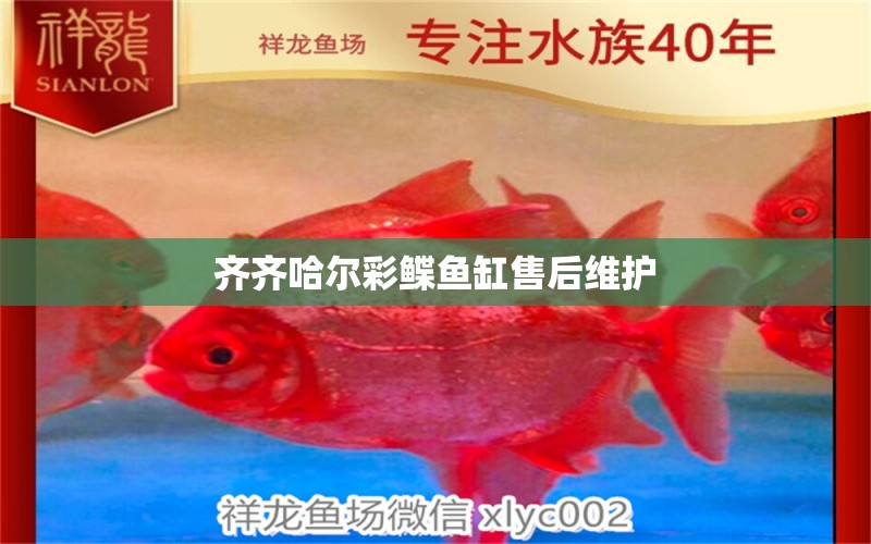 齊齊哈爾彩鰈魚缸售后維護(hù) 彩鰈魚缸（彩蝶魚缸）