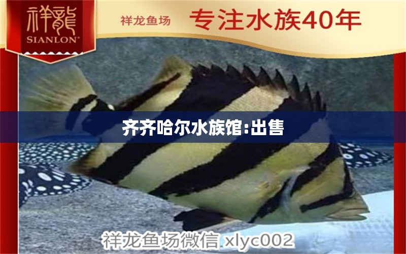 齊齊哈爾水族館:出售 紅龍專用魚糧飼料