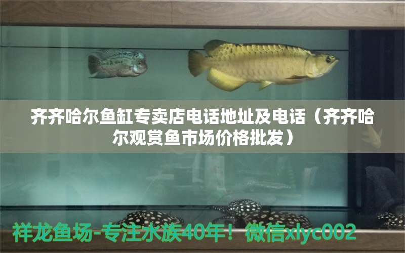 齊齊哈爾魚缸專賣店電話地址及電話（齊齊哈爾觀賞魚市場價格批發(fā)）