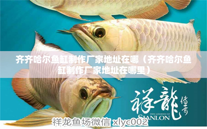 齊齊哈爾魚(yú)缸制作廠家地址在哪（齊齊哈爾魚(yú)缸制作廠家地址在哪里） 龍魚(yú)專用燈