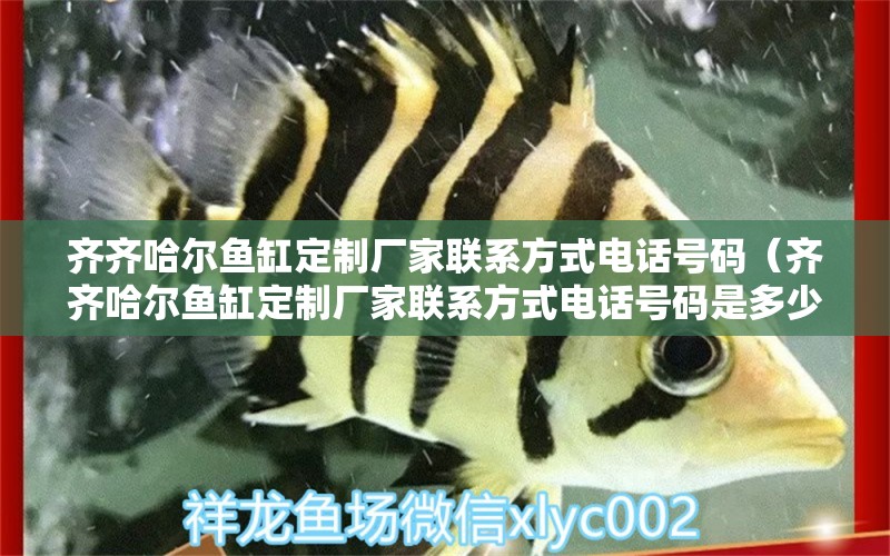 齊齊哈爾魚缸定制廠家聯(lián)系方式電話號碼（齊齊哈爾魚缸定制廠家聯(lián)系方式電話號碼是多少） 觀賞魚市場（混養(yǎng)魚）