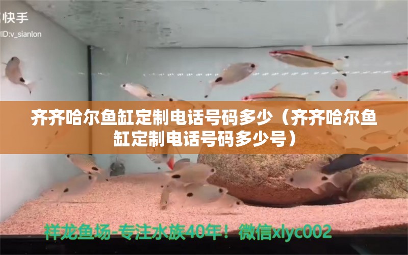 齊齊哈爾魚缸定制電話號碼多少（齊齊哈爾魚缸定制電話號碼多少號）