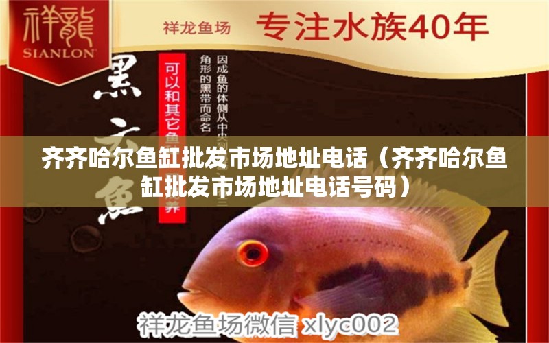 齊齊哈爾魚缸批發(fā)市場地址電話（齊齊哈爾魚缸批發(fā)市場地址電話號碼）