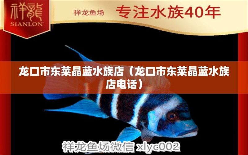 龍口市東萊晶藍水族店（龍口市東萊晶藍水族店電話） 全國水族館企業(yè)名錄