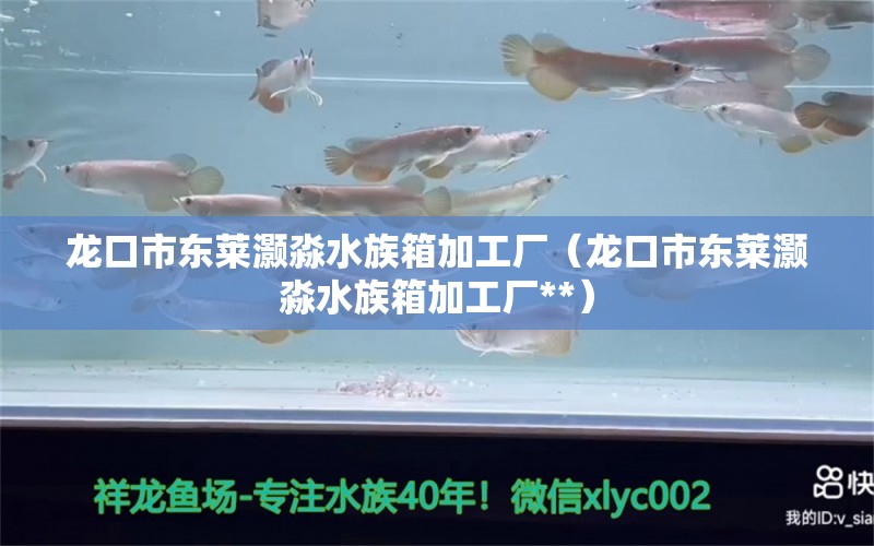 龍口市東萊灝淼水族箱加工廠（龍口市東萊灝淼水族箱加工廠**） 魚缸/水族箱