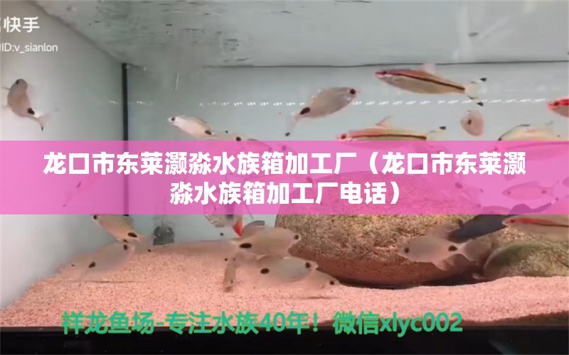 龍口市東萊灝淼水族箱加工廠（龍口市東萊灝淼水族箱加工廠電話） 魚(yú)缸/水族箱