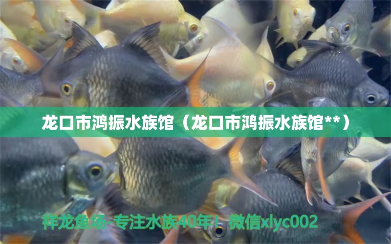 龍口市鴻振水族館（龍口市鴻振水族館**）