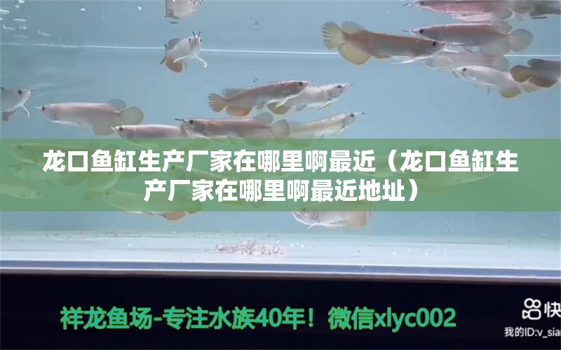 龍口魚缸生產(chǎn)廠家在哪里啊最近（龍口魚缸生產(chǎn)廠家在哪里啊最近地址）