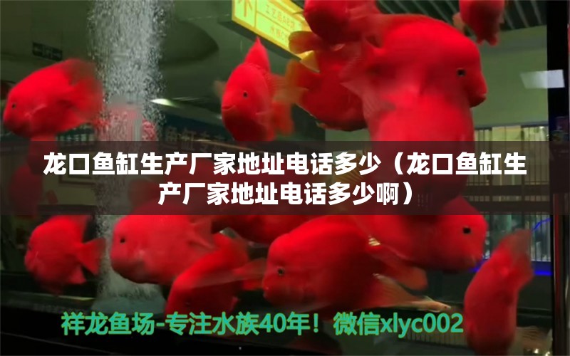 龍口魚缸生產(chǎn)廠家地址電話多少（龍口魚缸生產(chǎn)廠家地址電話多少?。?狗仔招財(cái)貓魚