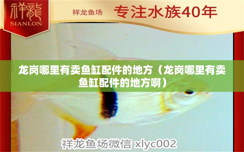 龍崗哪里有賣(mài)魚(yú)缸配件的地方（龍崗哪里有賣(mài)魚(yú)缸配件的地方?。?觀(guān)賞魚(yú)市場(chǎng)（混養(yǎng)魚(yú)）