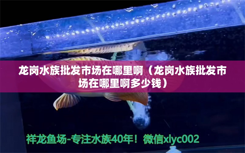 龍崗水族批發(fā)市場在哪里啊（龍崗水族批發(fā)市場在哪里啊多少錢） 觀賞魚水族批發(fā)市場