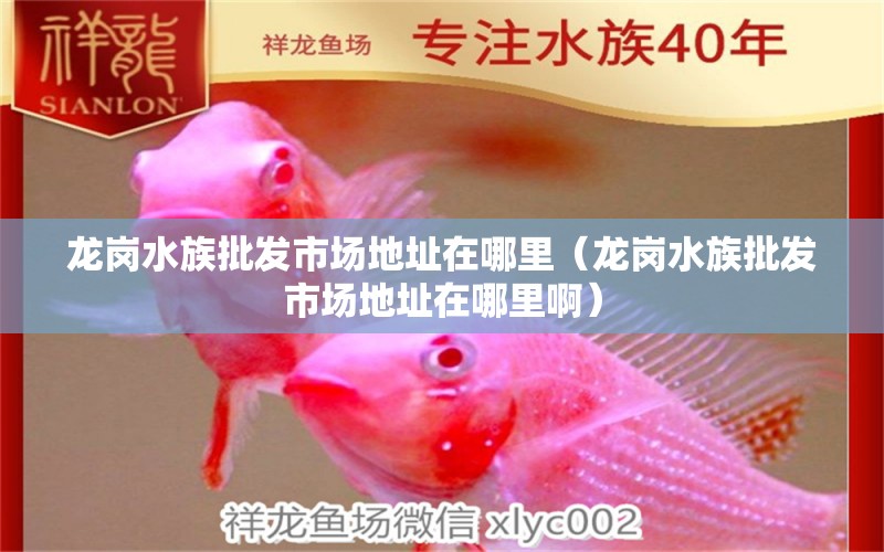 龍崗水族批發(fā)市場(chǎng)地址在哪里（龍崗水族批發(fā)市場(chǎng)地址在哪里?。? title=