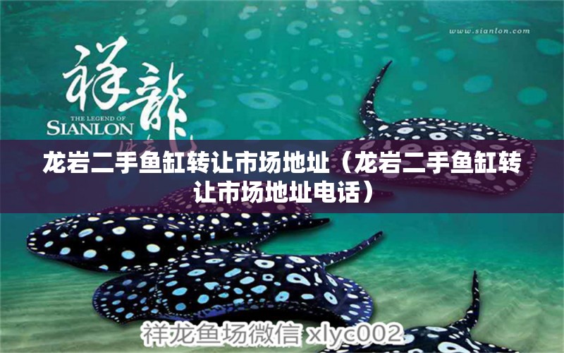 龍巖二手魚缸轉(zhuǎn)讓市場地址（龍巖二手魚缸轉(zhuǎn)讓市場地址電話） 祥龍水族醫(yī)院