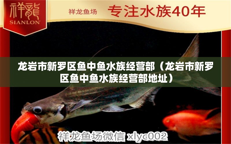 龍巖市新羅區(qū)魚中魚水族經(jīng)營部（龍巖市新羅區(qū)魚中魚水族經(jīng)營部地址） 全國水族館企業(yè)名錄