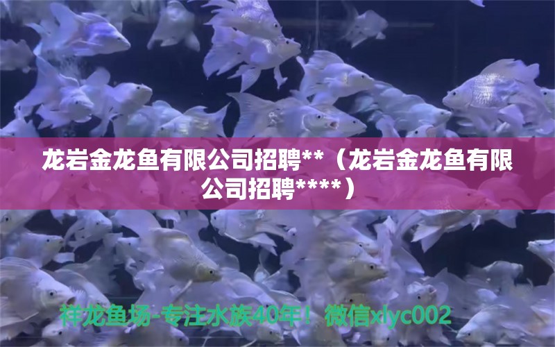 龍巖金龍魚有限公司招聘**（龍巖金龍魚有限公司招聘****）