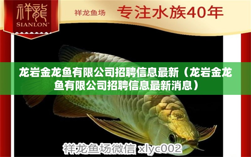 龍巖金龍魚有限公司招聘信息最新（龍巖金龍魚有限公司招聘信息最新消息） 狗仔（招財(cái)貓)魚苗