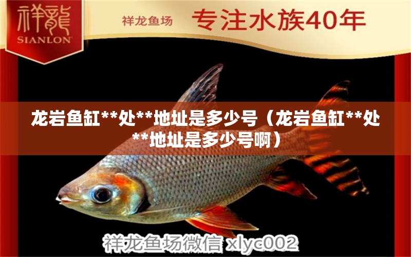 龍巖魚缸**處**地址是多少號（龍巖魚缸**處**地址是多少號?。? title=