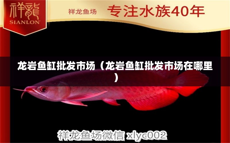 龍巖魚缸批發(fā)市場（龍巖魚缸批發(fā)市場在哪里）