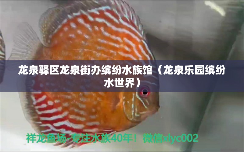 龍泉驛區(qū)龍泉街辦繽紛水族館（龍泉樂園繽紛水世界）