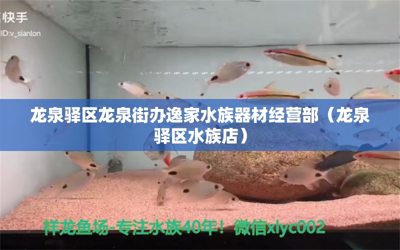 龍泉驛區(qū)龍泉街辦逸家水族器材經(jīng)營部（龍泉驛區(qū)水族店）