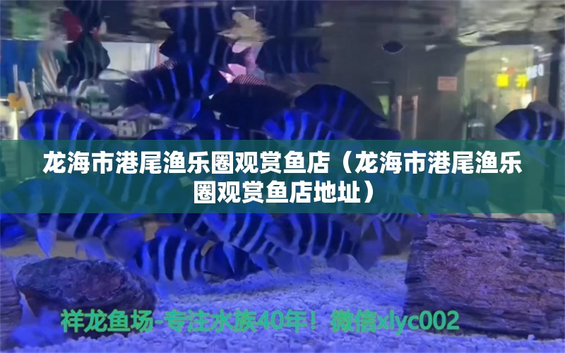 龍海市港尾漁樂圈觀賞魚店（龍海市港尾漁樂圈觀賞魚店地址）