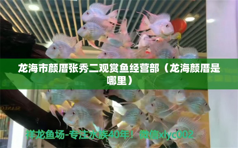 龍海市顏厝張秀二觀賞魚經營部（龍海顏厝是哪里） 全國水族館企業(yè)名錄