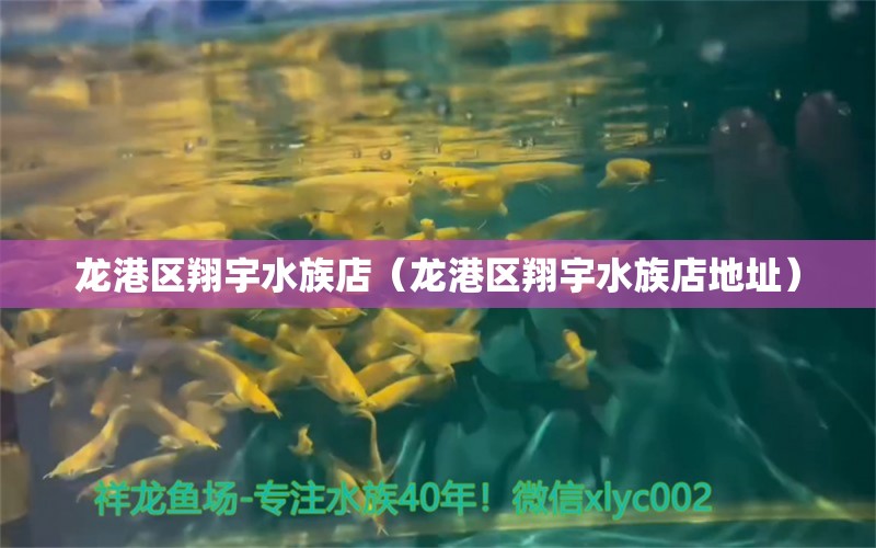 龍港區(qū)翔宇水族店（龍港區(qū)翔宇水族店地址）