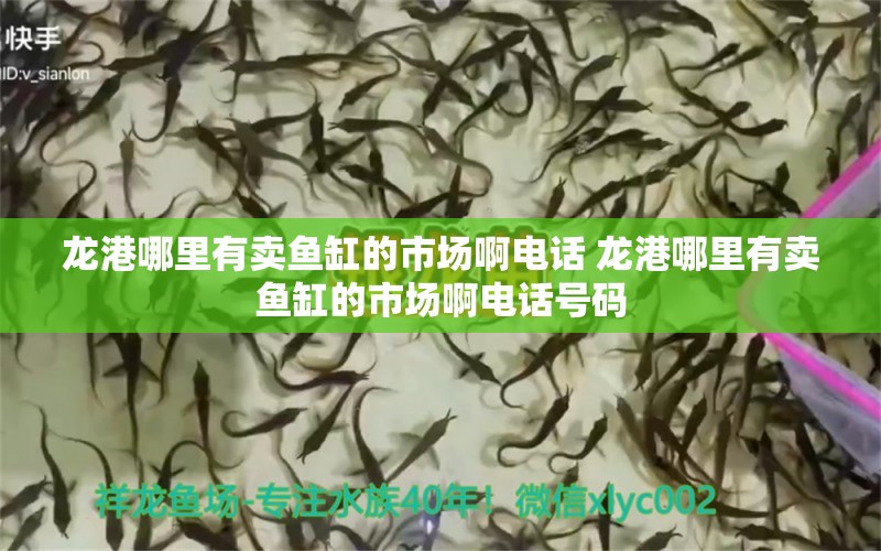 龍港哪里有賣魚缸的市場啊電話 龍港哪里有賣魚缸的市場啊電話號碼