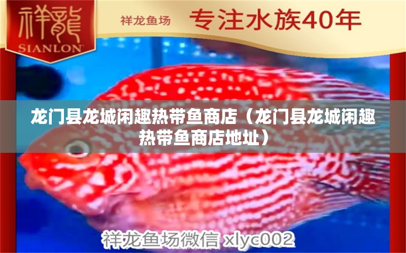 龍門縣龍城閑趣熱帶魚商店（龍門縣龍城閑趣熱帶魚商店地址） 全國水族館企業(yè)名錄