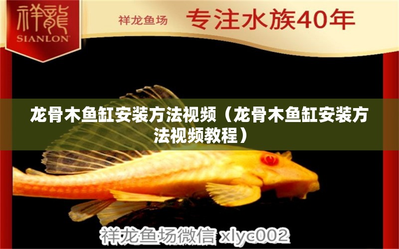 龍骨木魚缸安裝方法視頻（龍骨木魚缸安裝方法視頻教程） 其他品牌魚缸