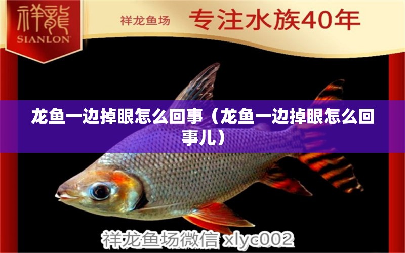 龍魚(yú)一邊掉眼怎么回事（龍魚(yú)一邊掉眼怎么回事兒）