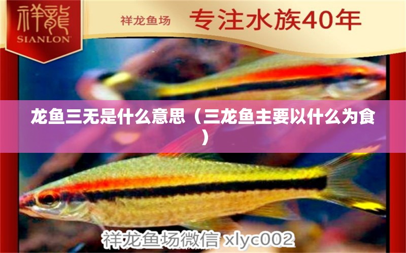 龍魚三無是什么意思（三龍魚主要以什么為食） 龍魚疾病與治療