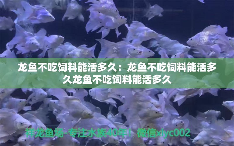 龍魚不吃飼料能活多久：龍魚不吃飼料能活多久龍魚不吃飼料能活多久 龍魚百科 第2張