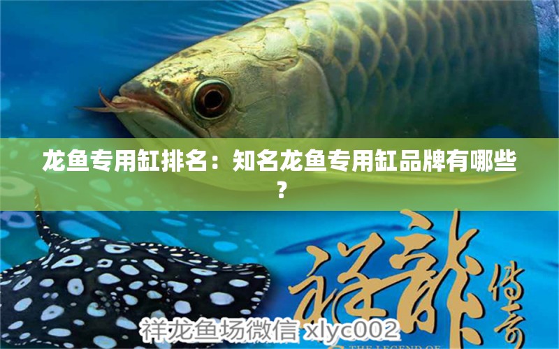 龍魚專用缸排名：知名龍魚專用缸品牌有哪些？ 龍魚百科 第2張