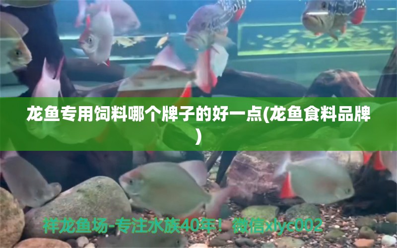 龍魚專用飼料哪個牌子的好一點(龍魚食料品牌) 白子關(guān)刀魚苗