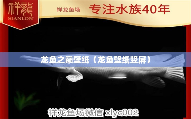 龍魚(yú)之巔壁紙（龍魚(yú)壁紙豎屏） 廣州龍魚(yú)批發(fā)市場(chǎng)