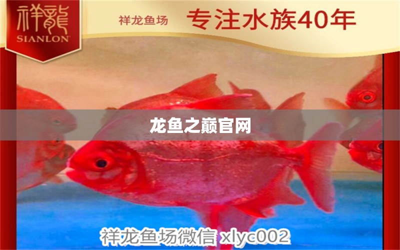 龍魚之巔官網(wǎng)