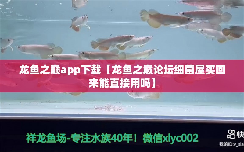 龍魚之巔app下載【龍魚之巔論壇細(xì)菌屋買回來能直接用嗎】