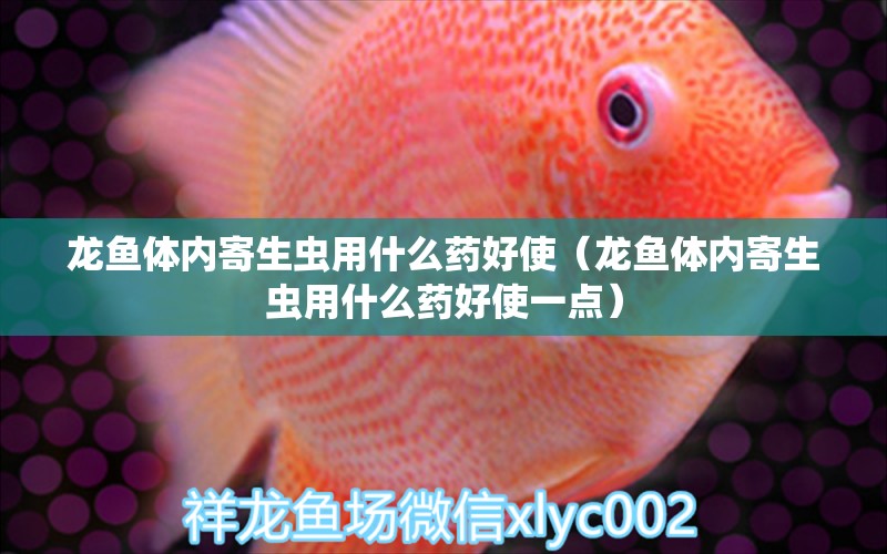 龍魚(yú)體內(nèi)寄生蟲(chóng)用什么藥好使（龍魚(yú)體內(nèi)寄生蟲(chóng)用什么藥好使一點(diǎn)） 龍魚(yú)疾病與治療