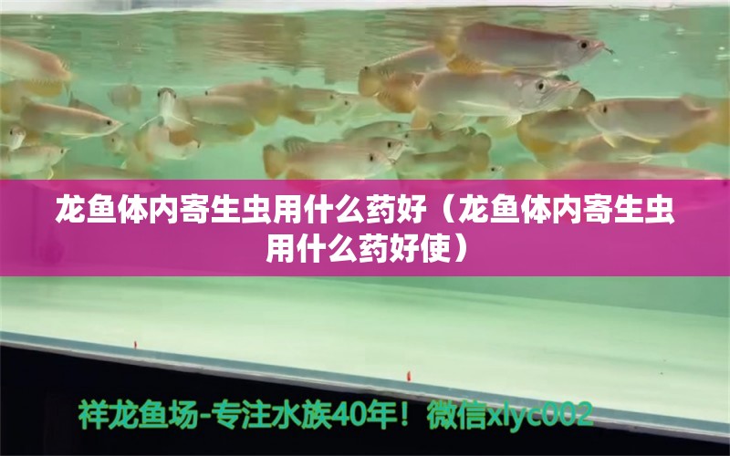 龍魚體內(nèi)寄生蟲用什么藥好（龍魚體內(nèi)寄生蟲用什么藥好使） 龍魚疾病與治療