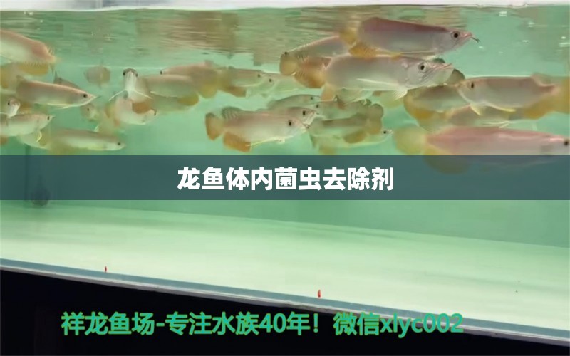 龍魚體內(nèi)菌蟲去除劑