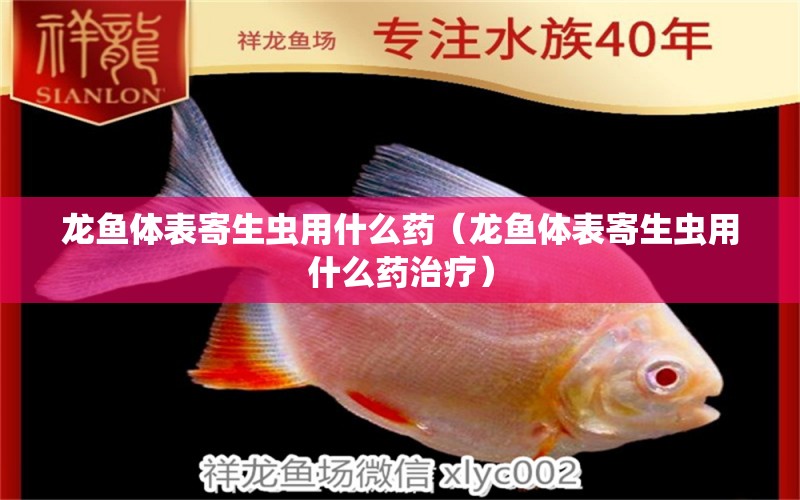 龍魚體表寄生蟲用什么藥（龍魚體表寄生蟲用什么藥治療） 龍魚疾病與治療