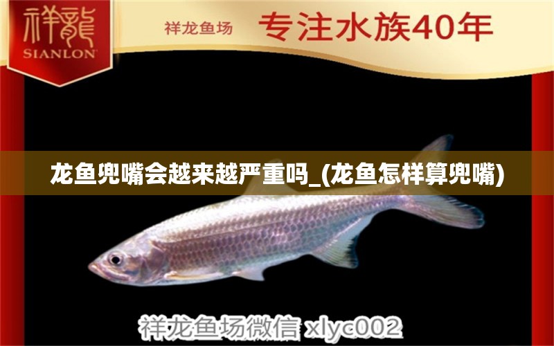 龍魚兜嘴會越來越嚴重嗎_(龍魚怎樣算兜嘴) 狗仔招財貓魚